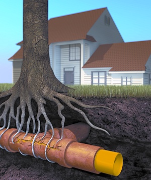 Unclogging a drain